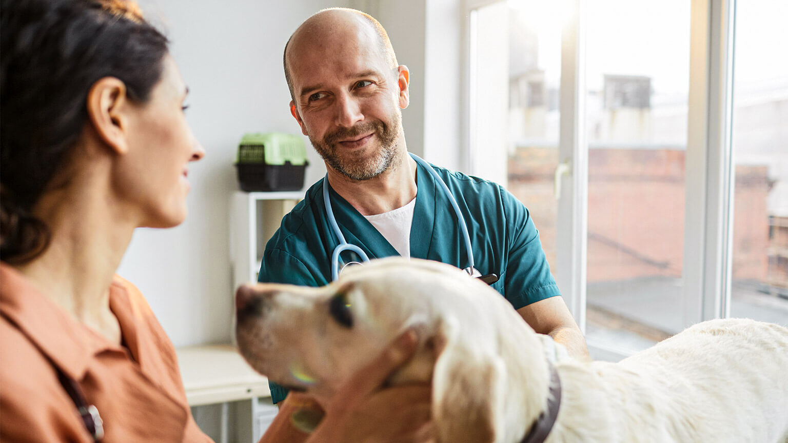 A veterinarian smiling at a Labrador owner reassuringly, while patting the Labrador