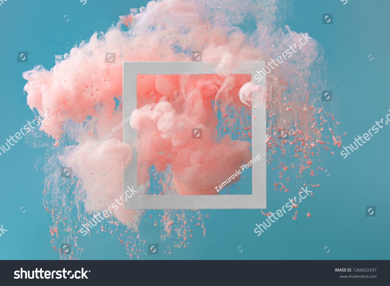 Abstract pastel coral pink color paint with pastel blue background. Fluid creative concept composition with copy space. Minimal natural luxury.