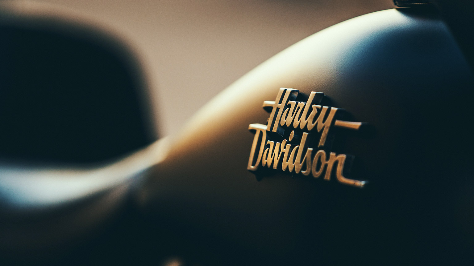 A close view of the Harley Davidson logo on a sweet ride