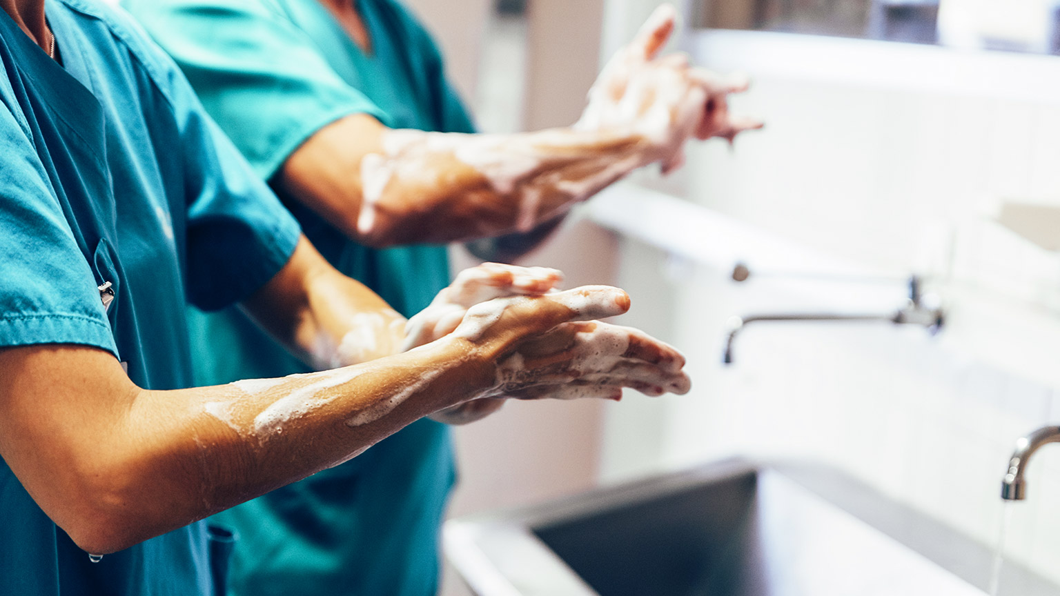 Workers in a vet clinic washing their hands