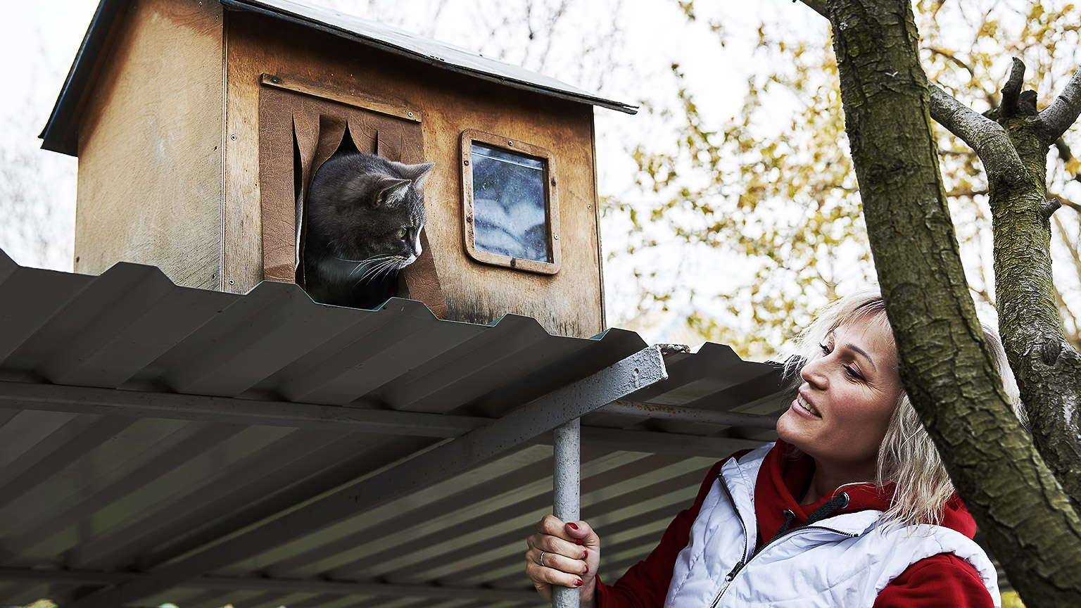 A person and a cat looking at each other at a shelter