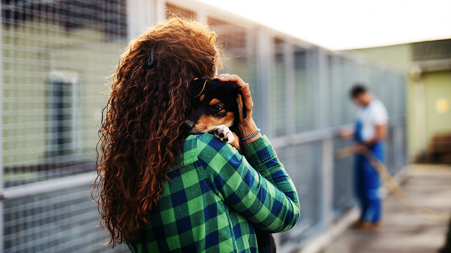 A person holding a puppy in an animal shelter