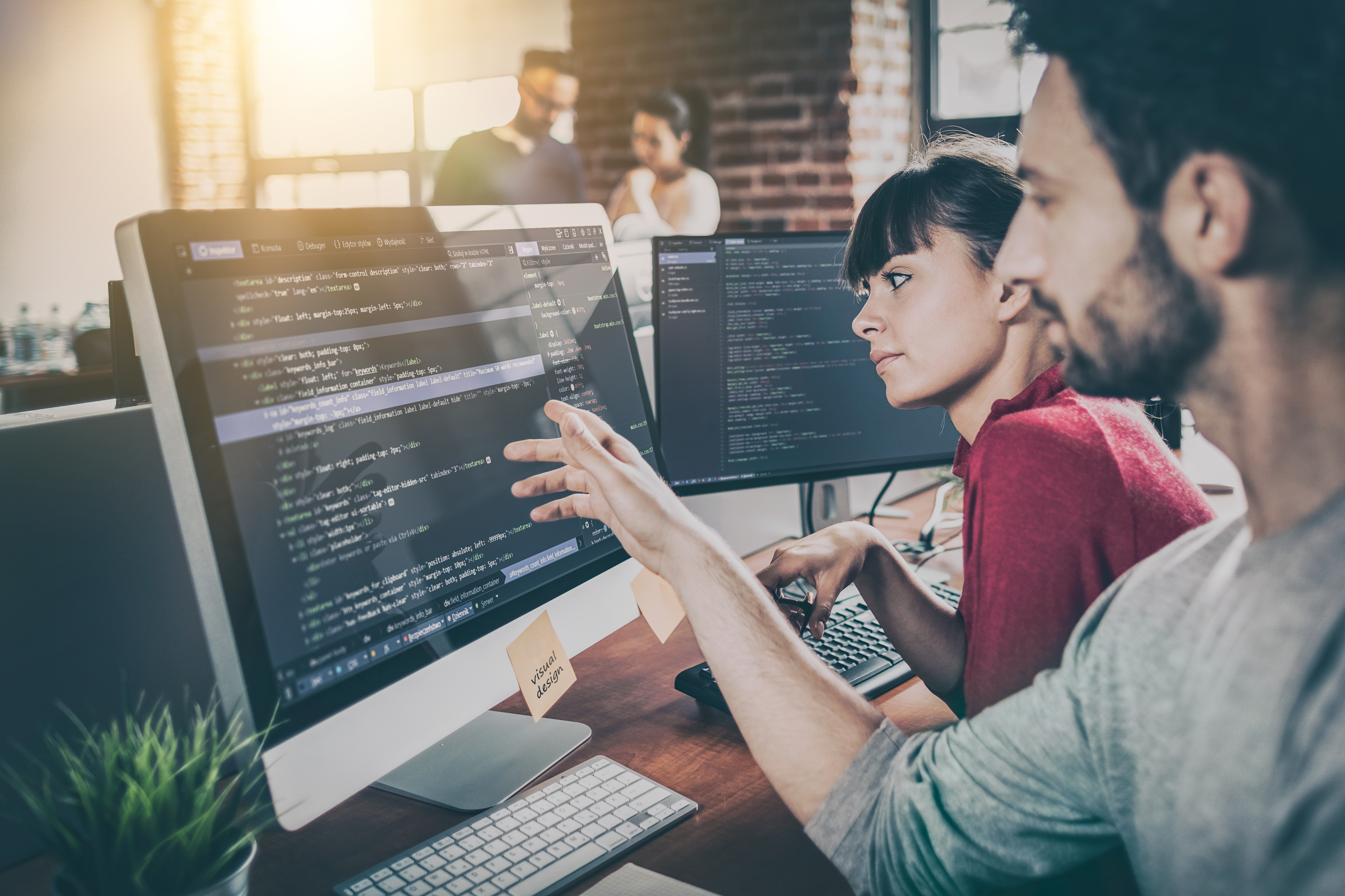 Two programmers working in a software develop company office, discussing code on a computer screen