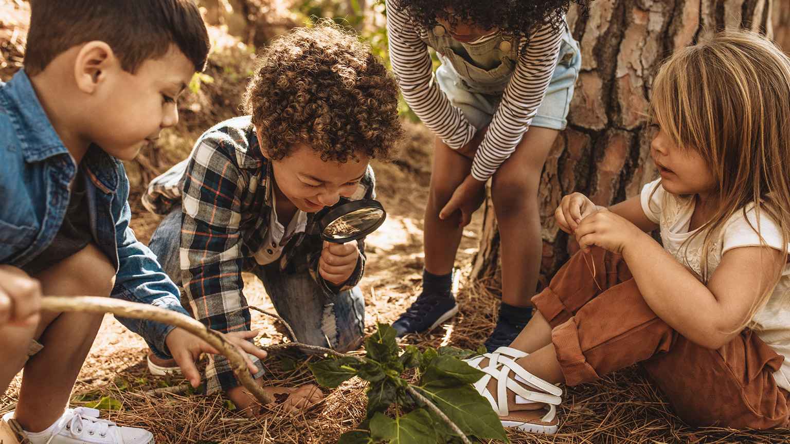 A group of kids exploring outdoors