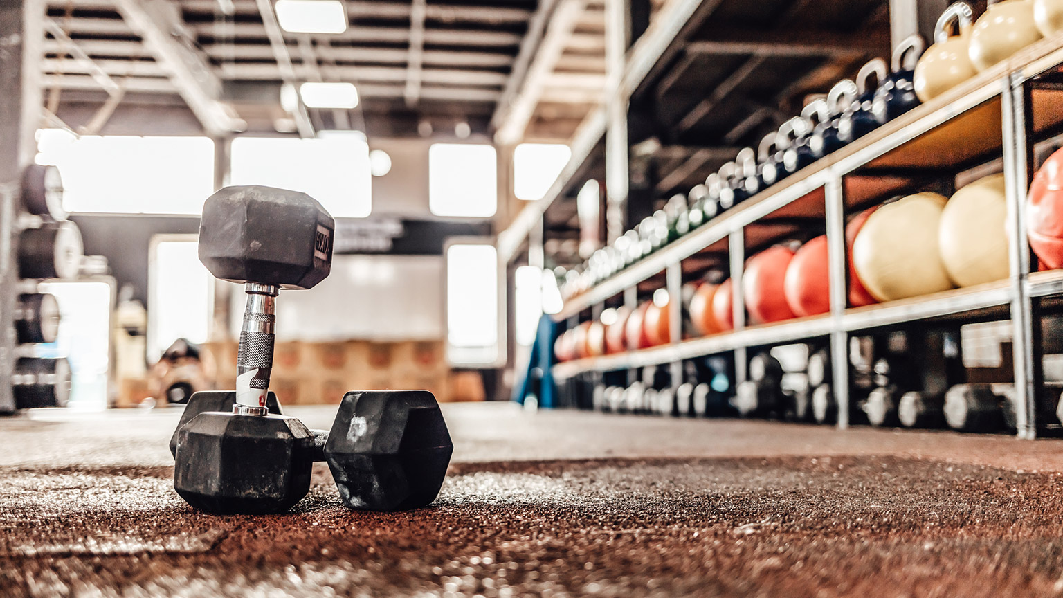 2 dumbells on a gym floor