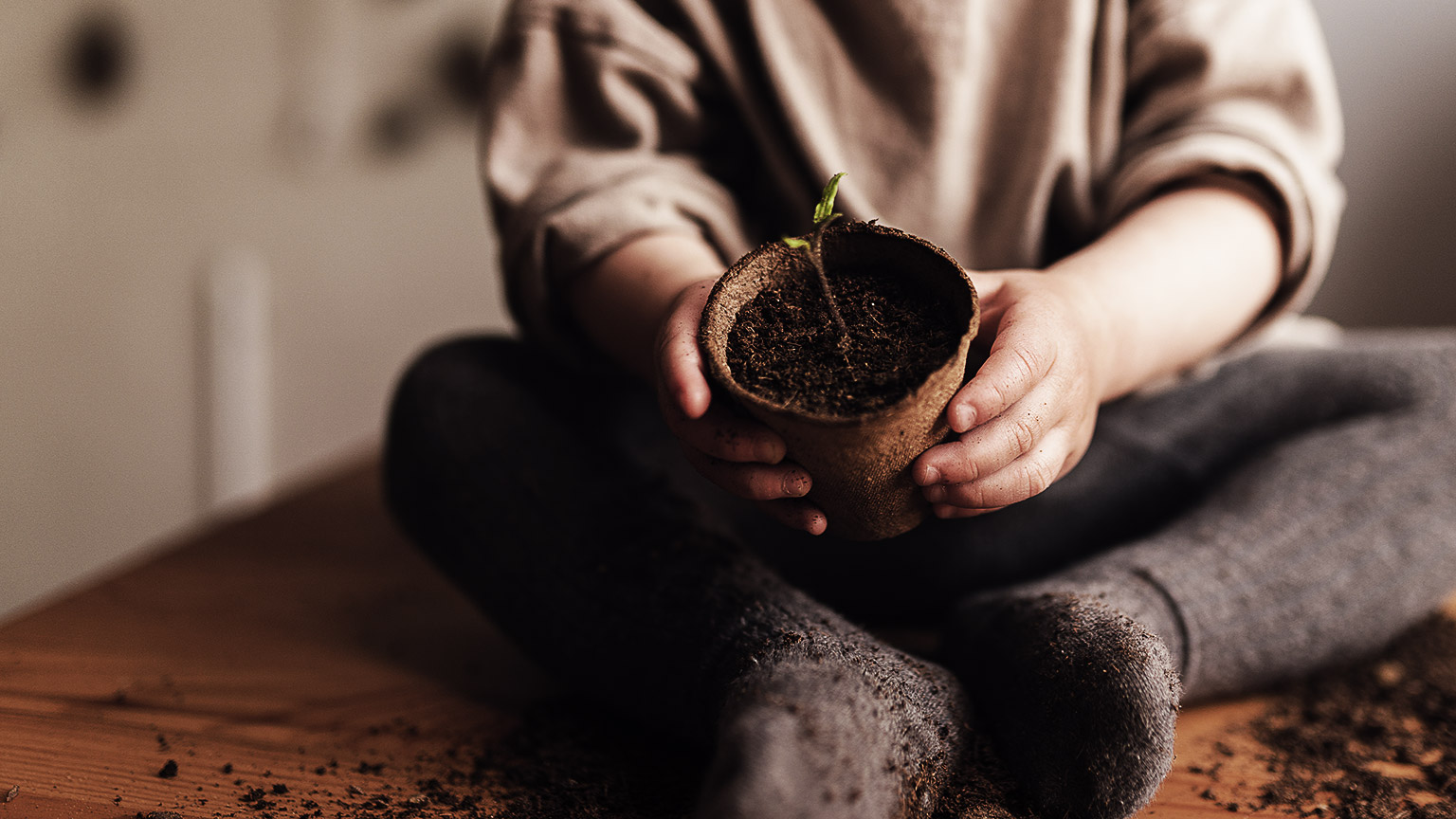 A child holding a seedling in a small pot