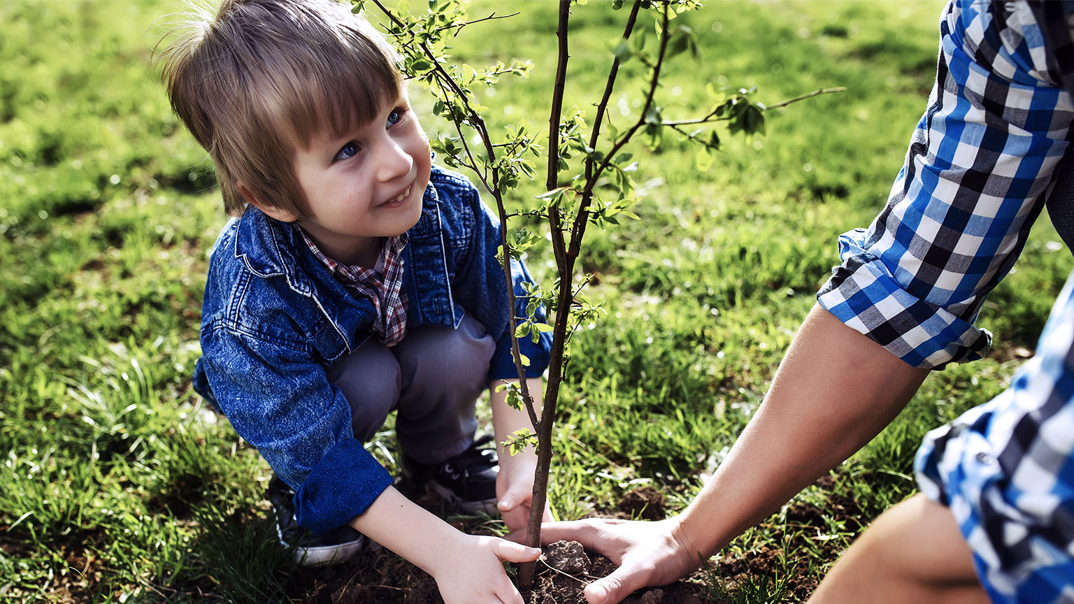 Adult assisting a child planting a tree