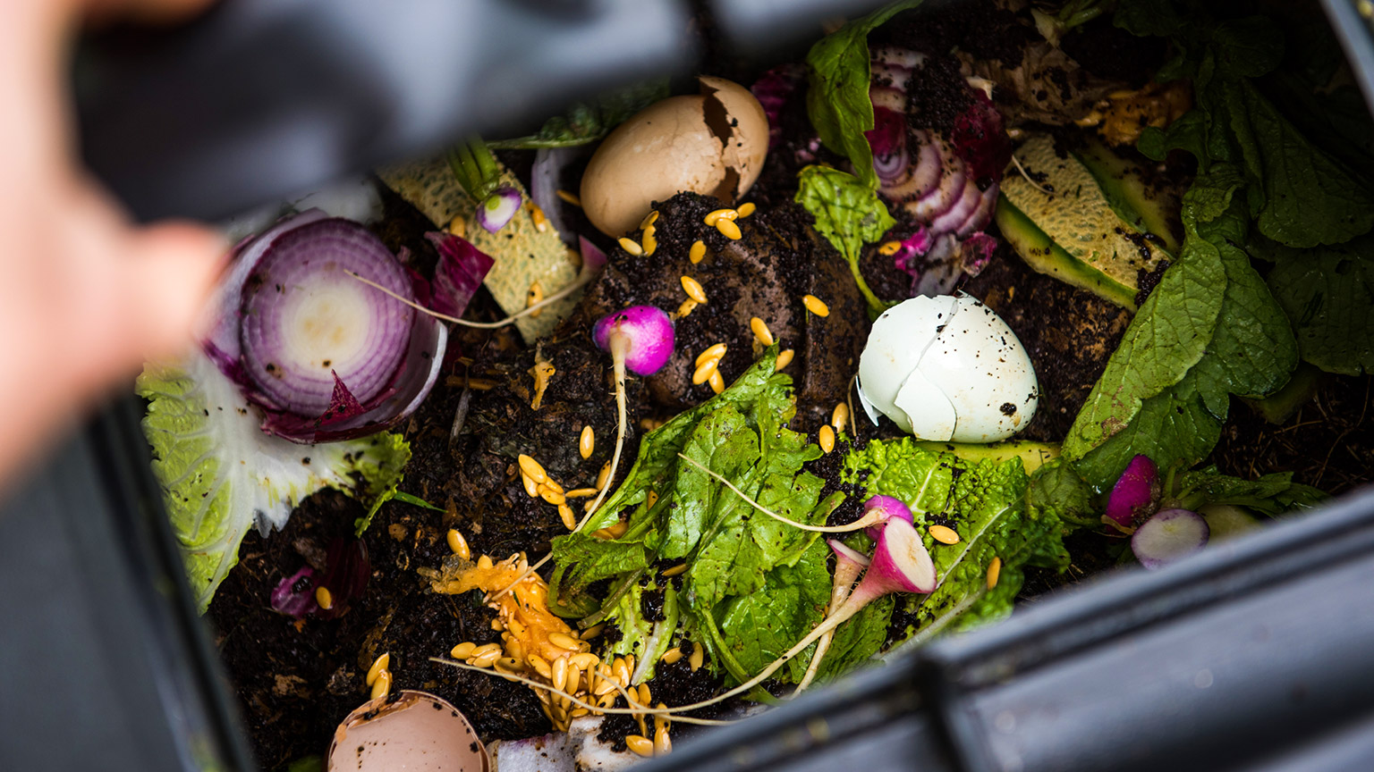 A top down view into a compost bin