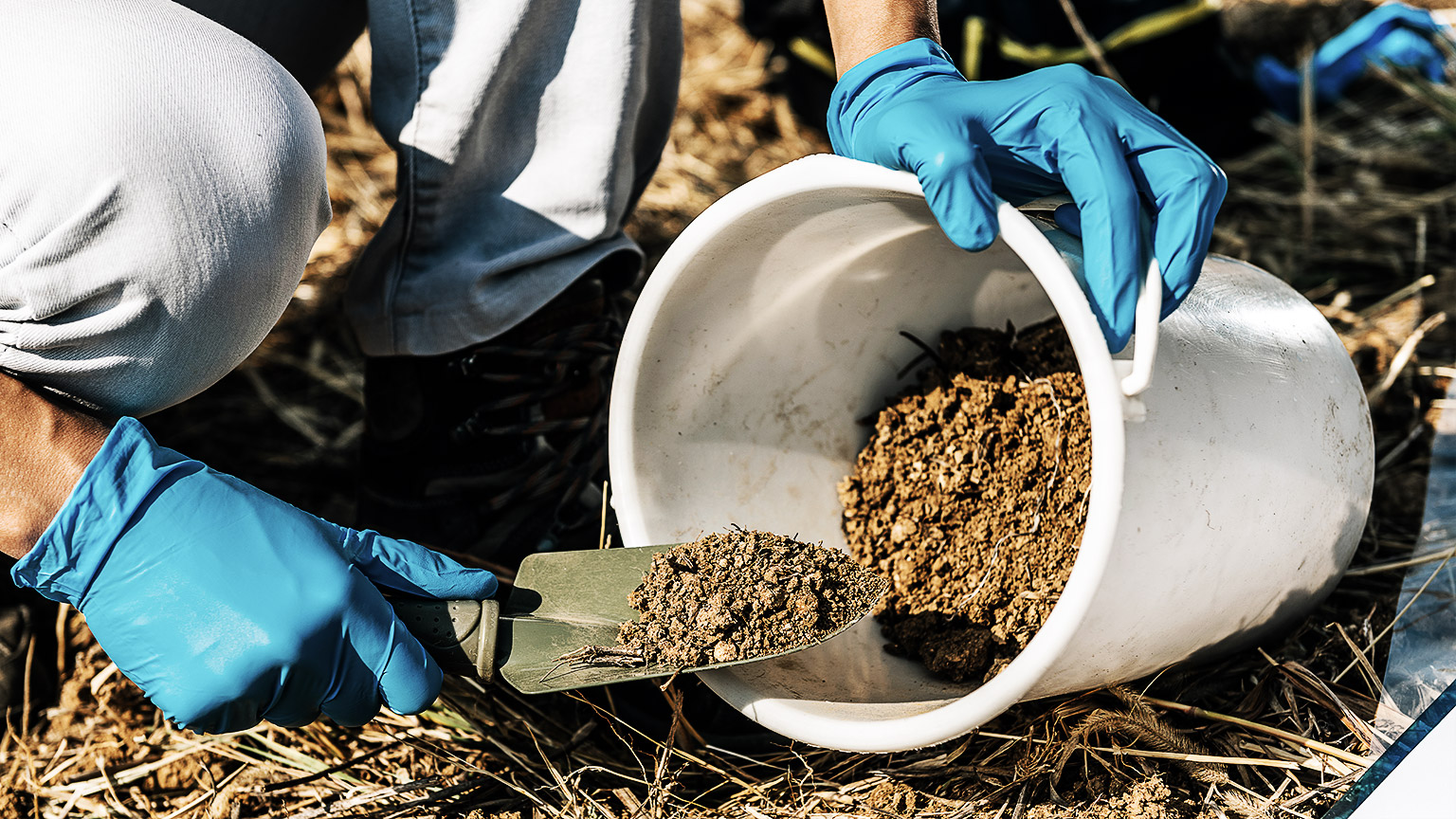 A grower taking a sample of soil and putting it in a bag to send off or testing.