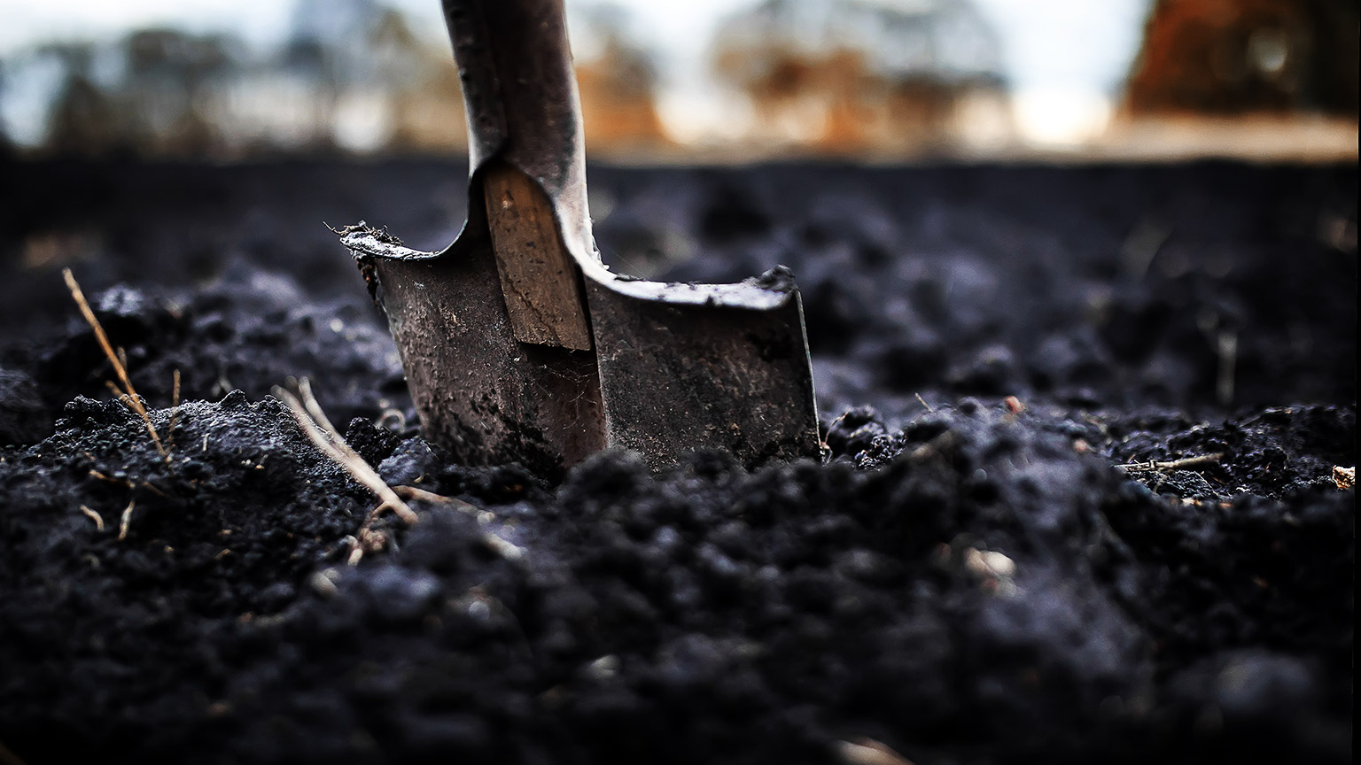 An old rusty shovel sits inside a garden bed filled with soil. 