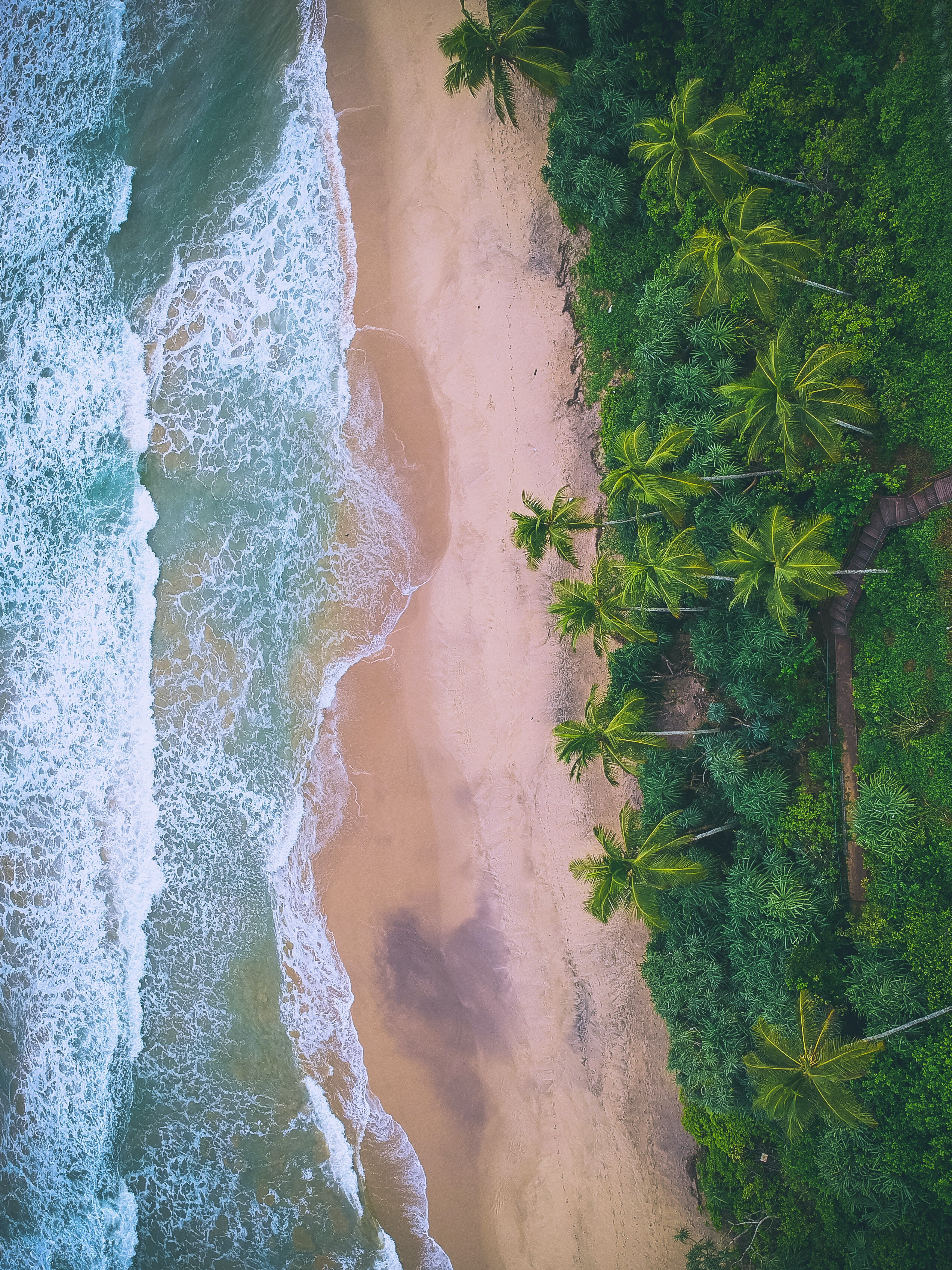 Golden sand beach and waves