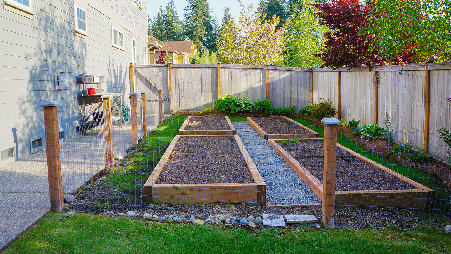 New veggie garden with raised garden beds and clear pathways