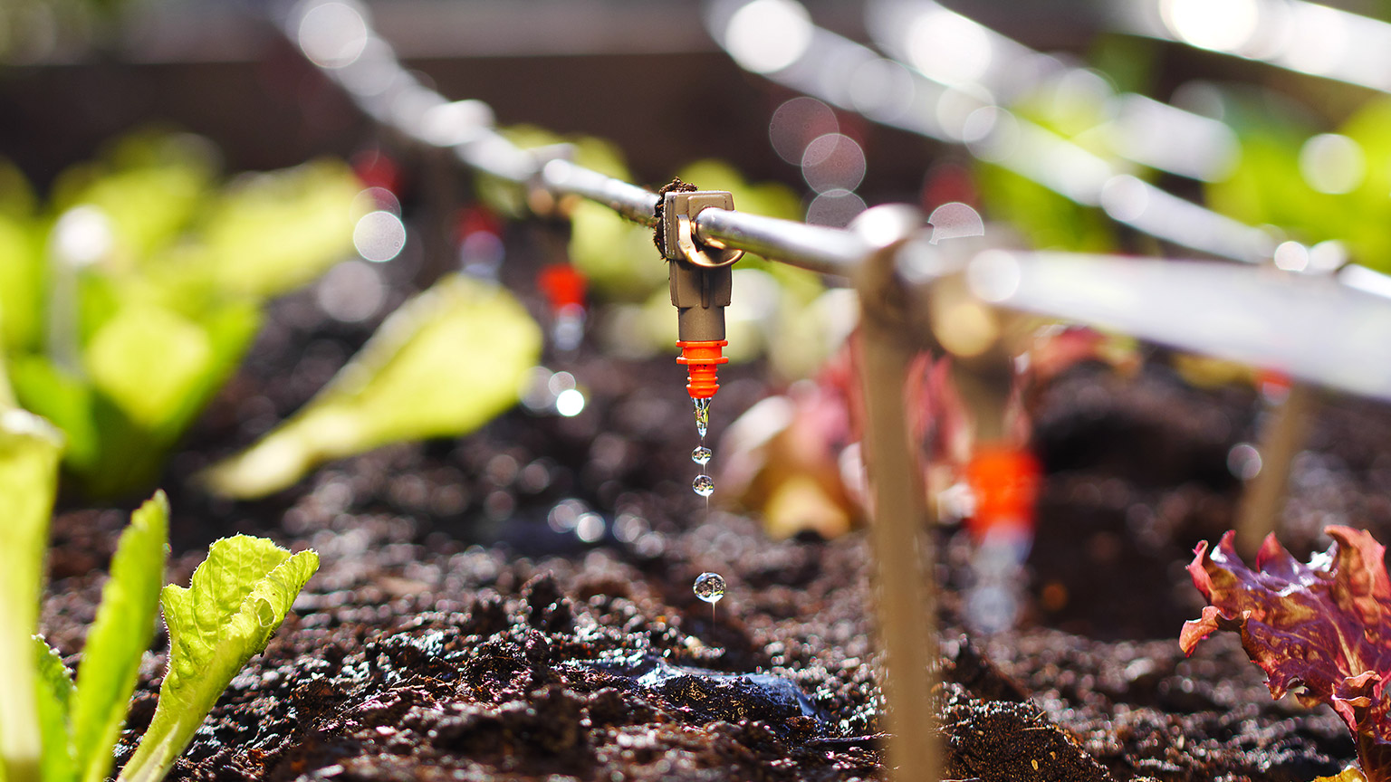 A close view of a sprinkler system