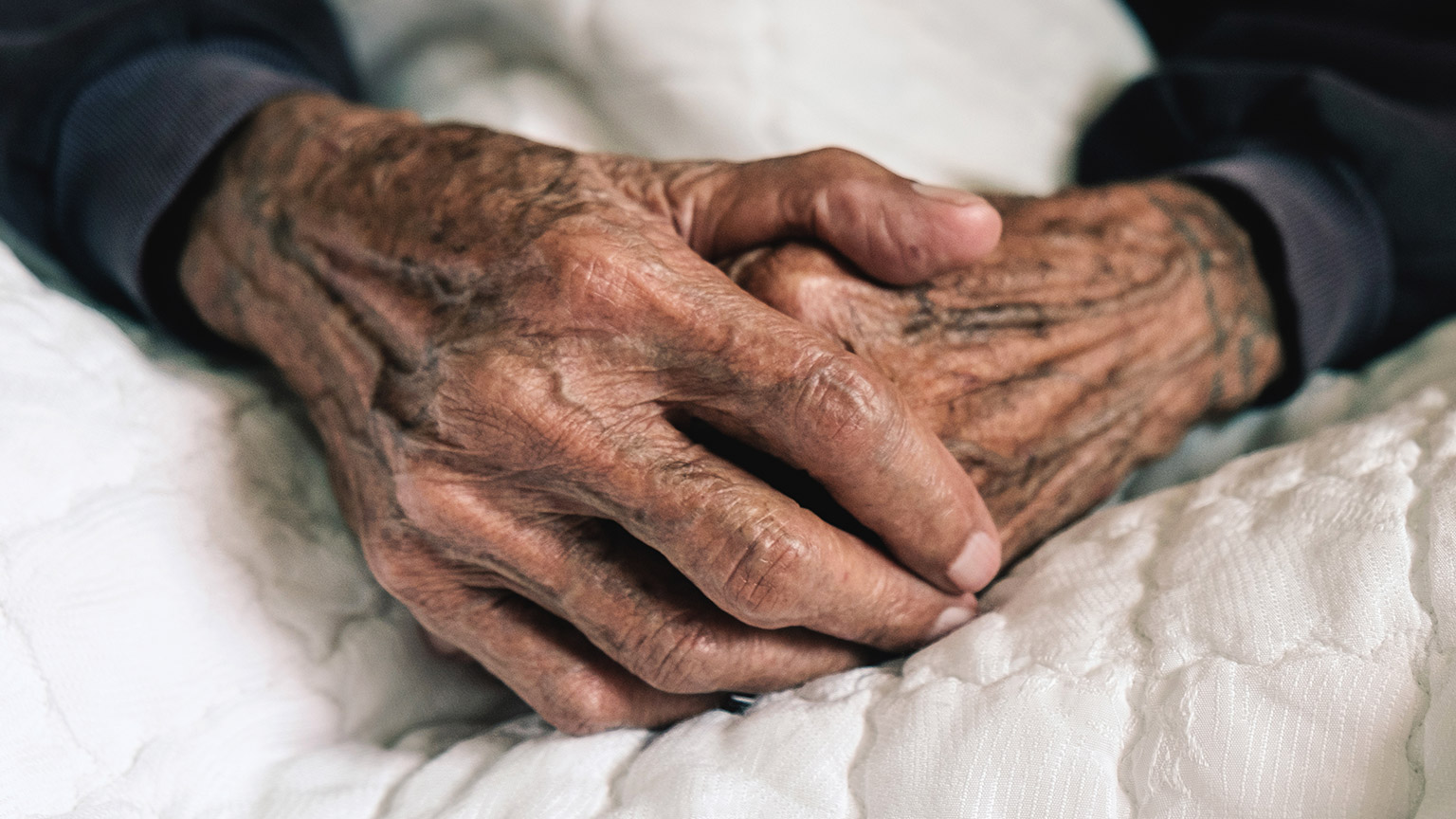 A close view of the hands of an elderly person