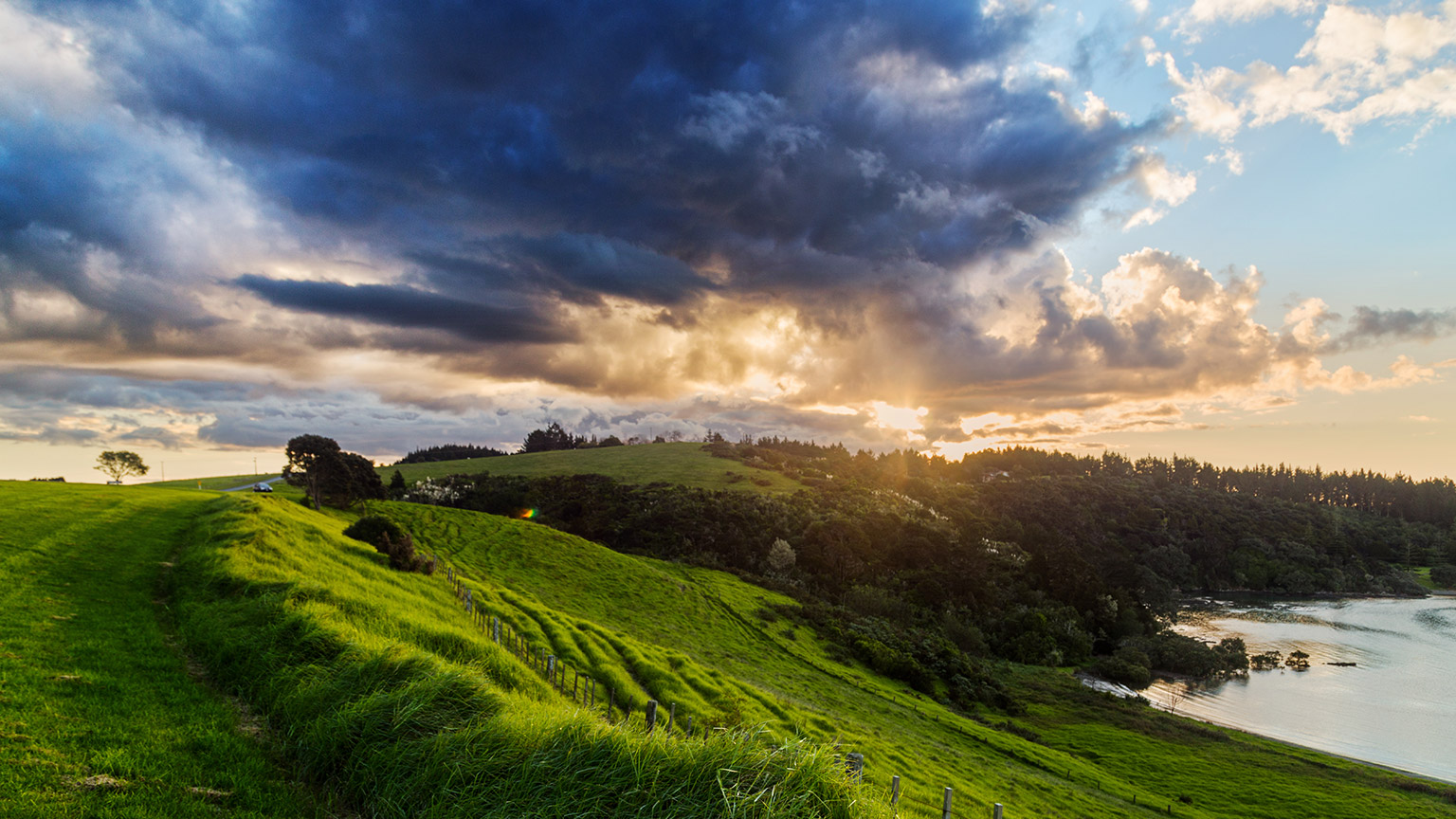 New Zealand countryside