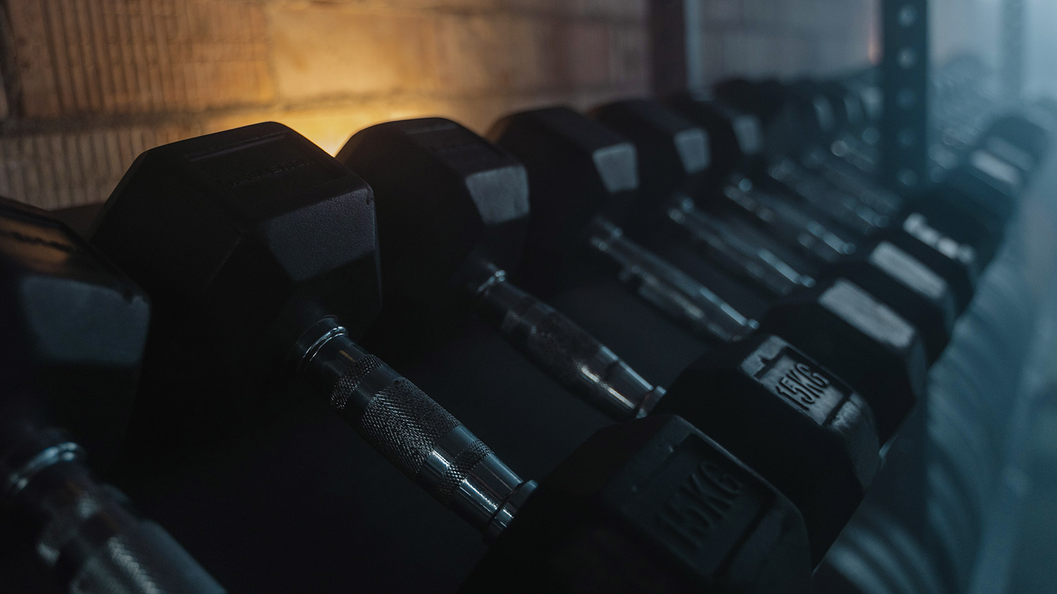 A close view of a rack of weights in a gym
