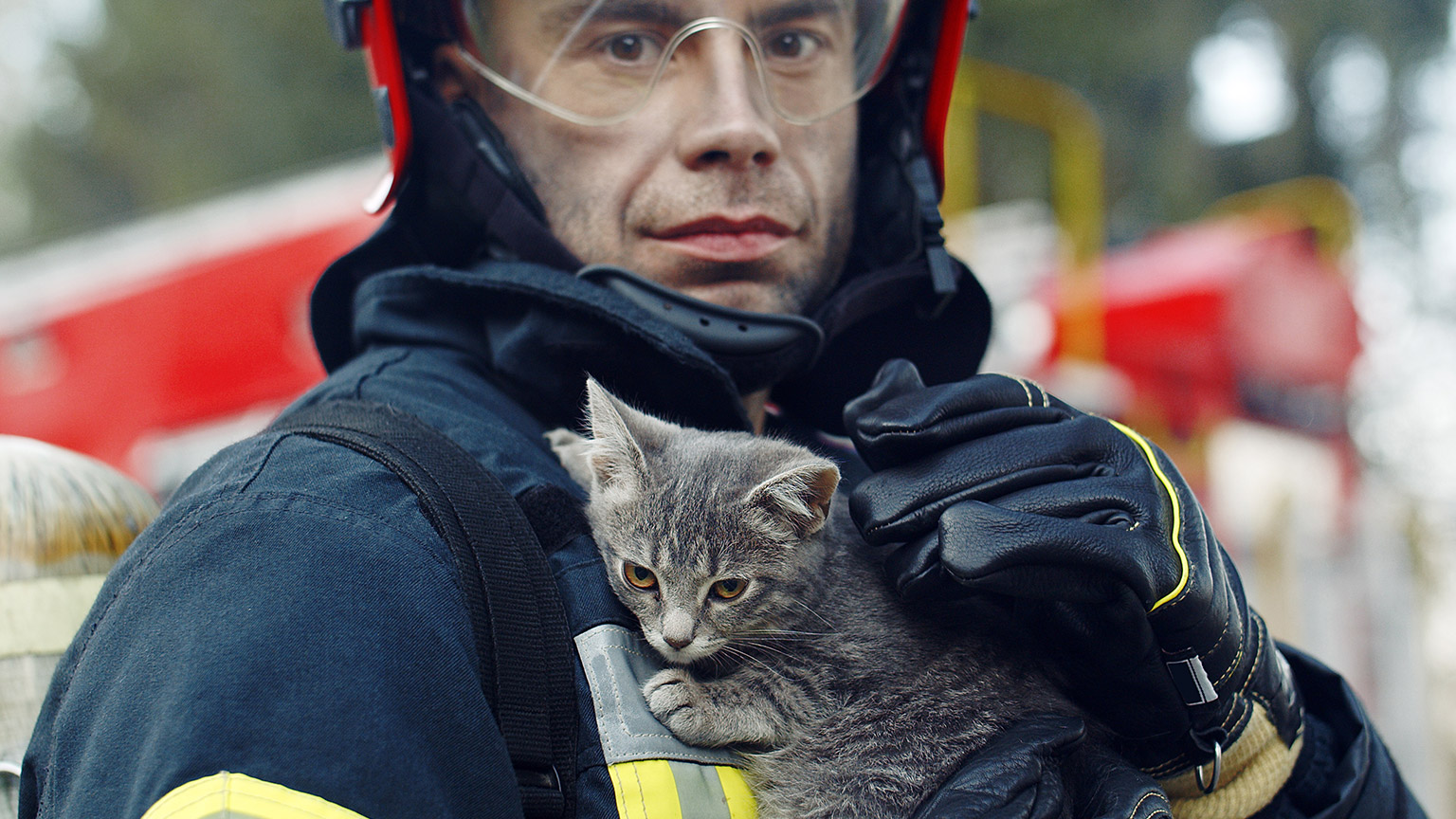 A fireman holding a rescued cat