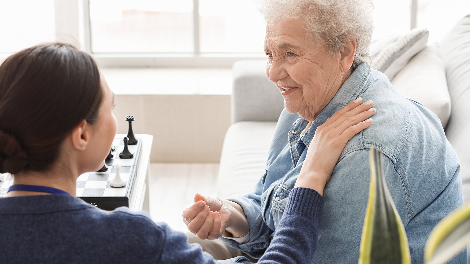 A carer with a senior client