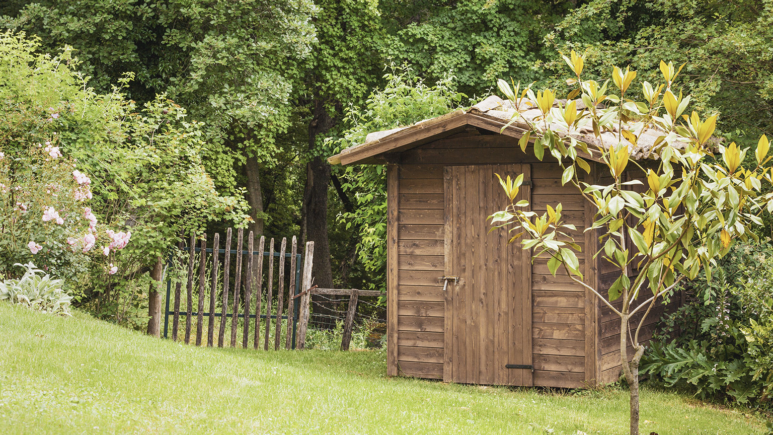 A garden with an old shed