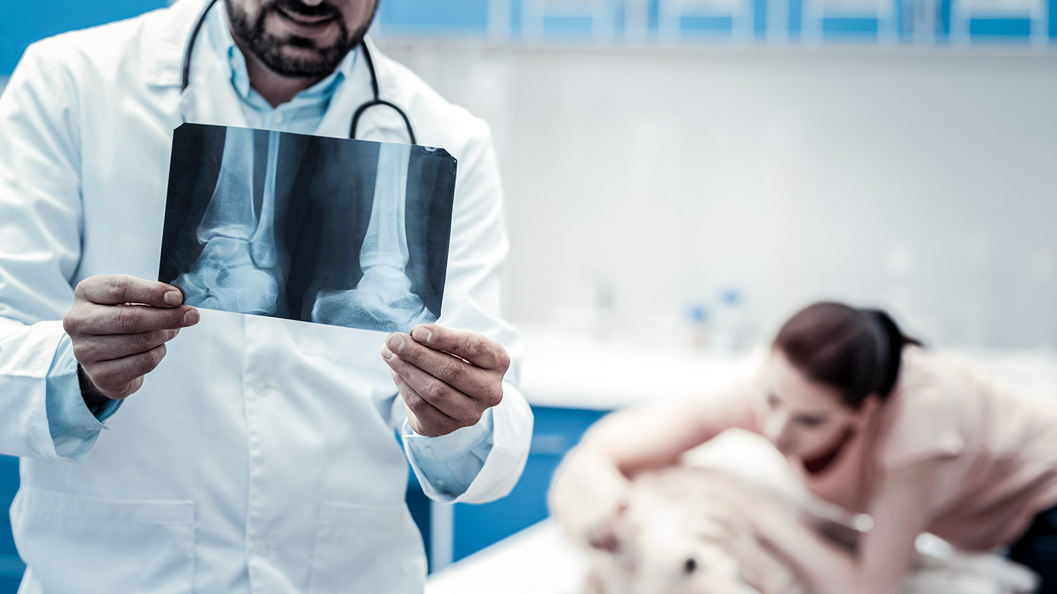 A vet looking at an x-ray