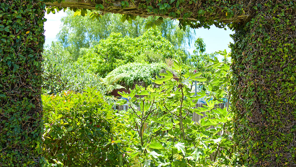 An arch view looking out to a grouping of trees and bushes.