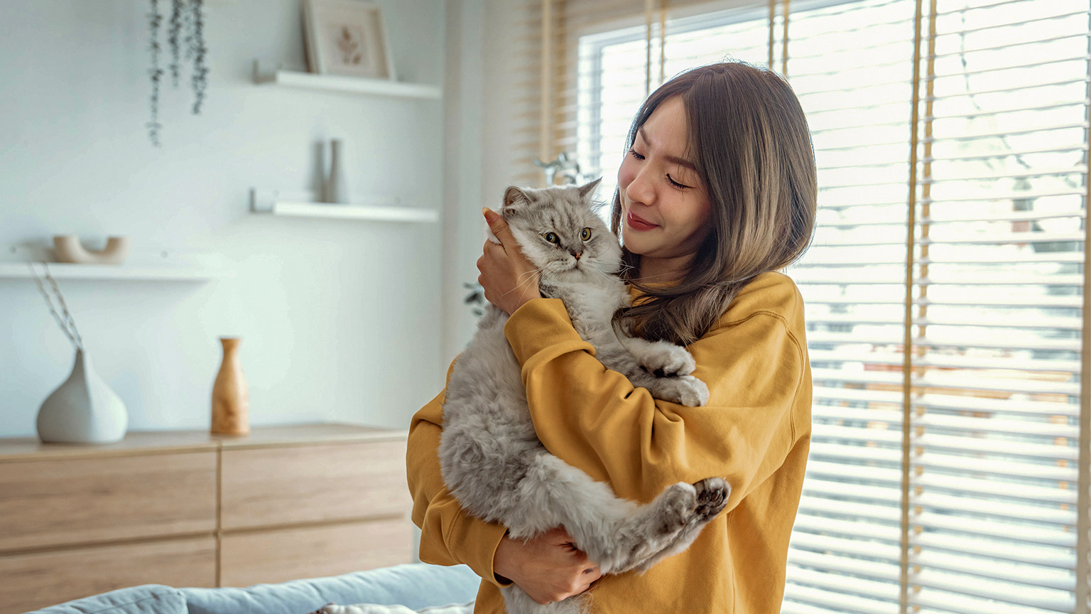 Happy young asian woman hugging cute grey persian cat on couch in living room at home