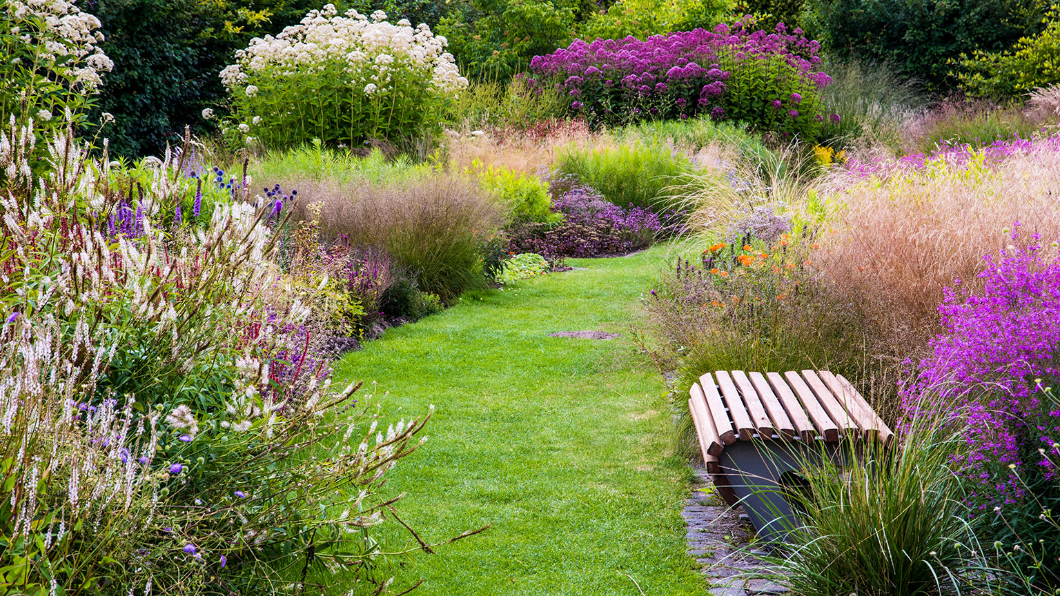 A garden with lots of plants and flowers