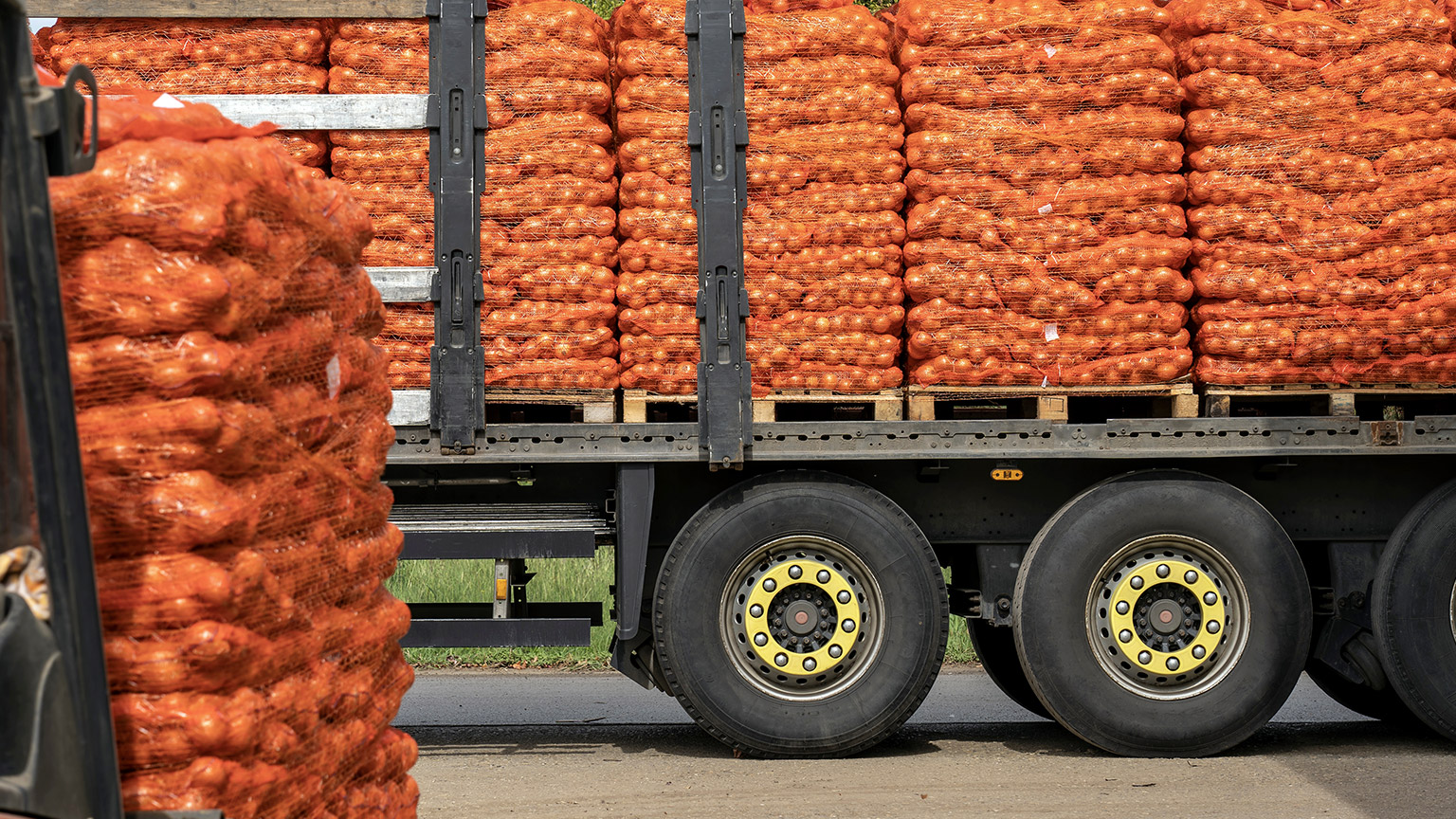 Forklift Loading Palletized Onion Bags Wrapped in Netting into the Truck for Distribution To Market.