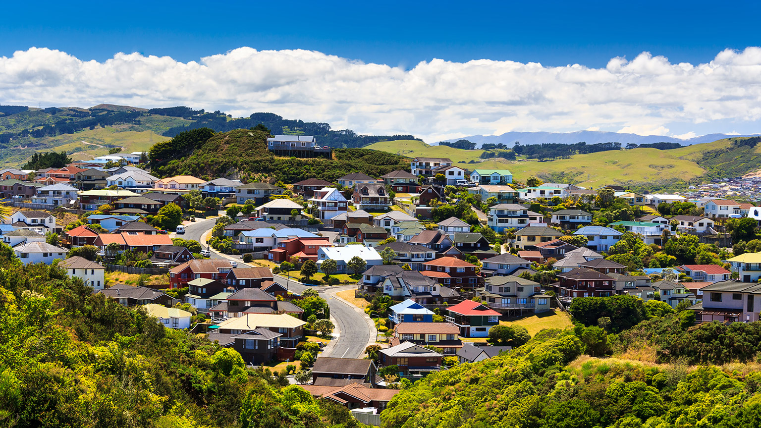 An overview of a rural town in NZ