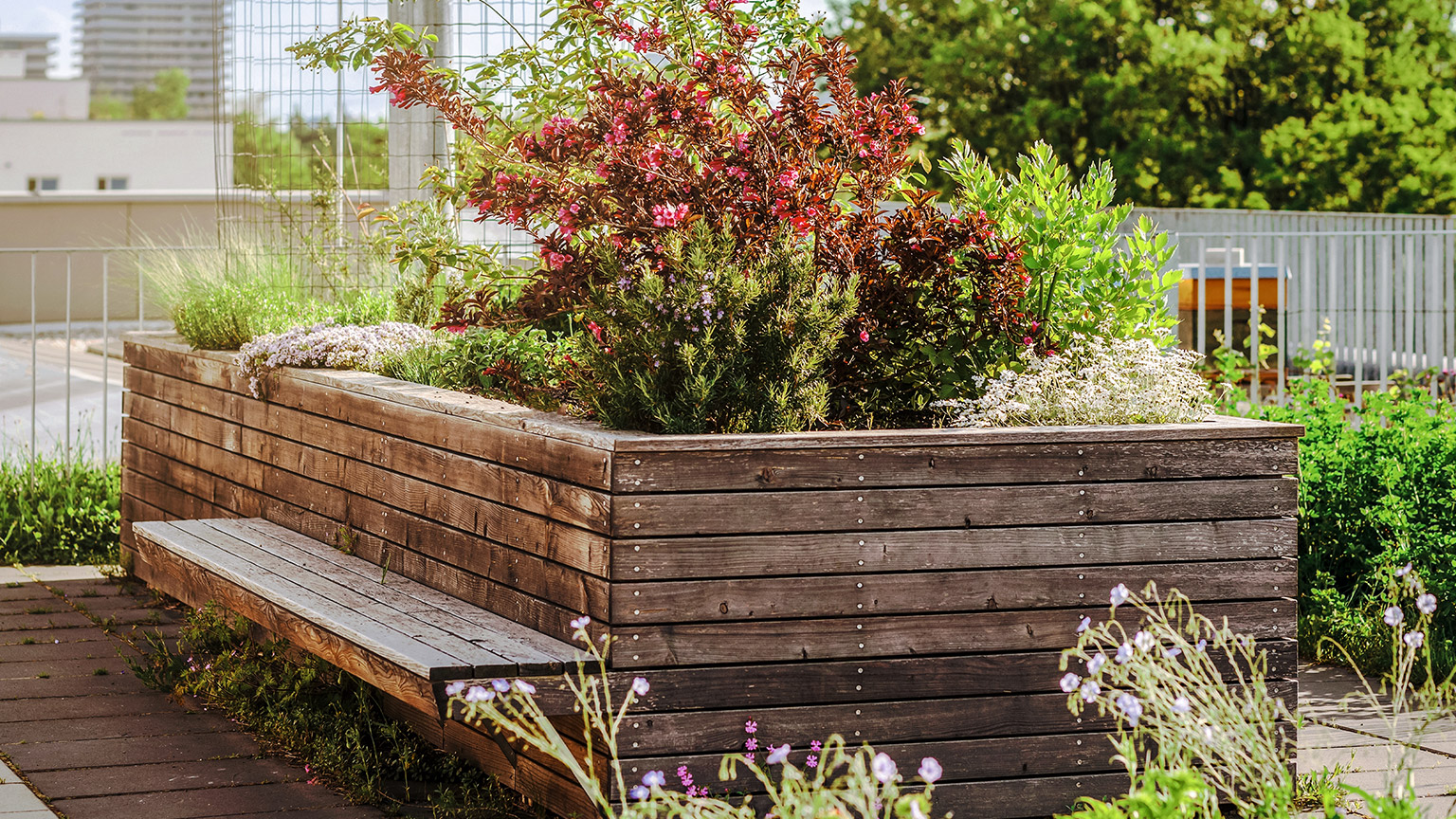 A raised planter box in a garden