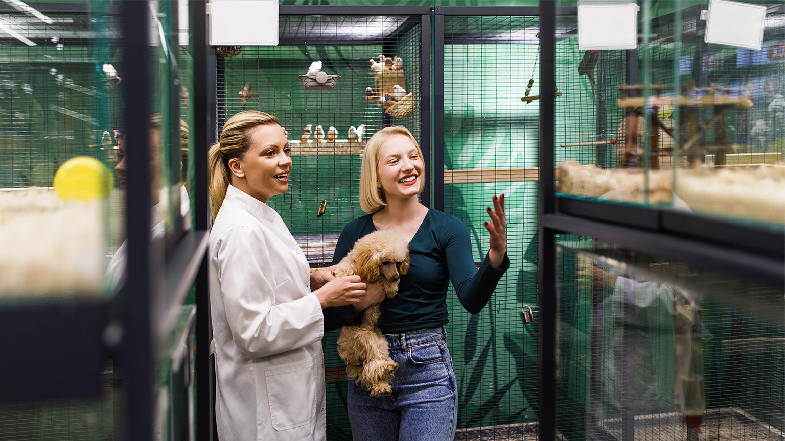 Beautiful young woman is talking with veterinarian in pet shop about new pet she wants to buy.