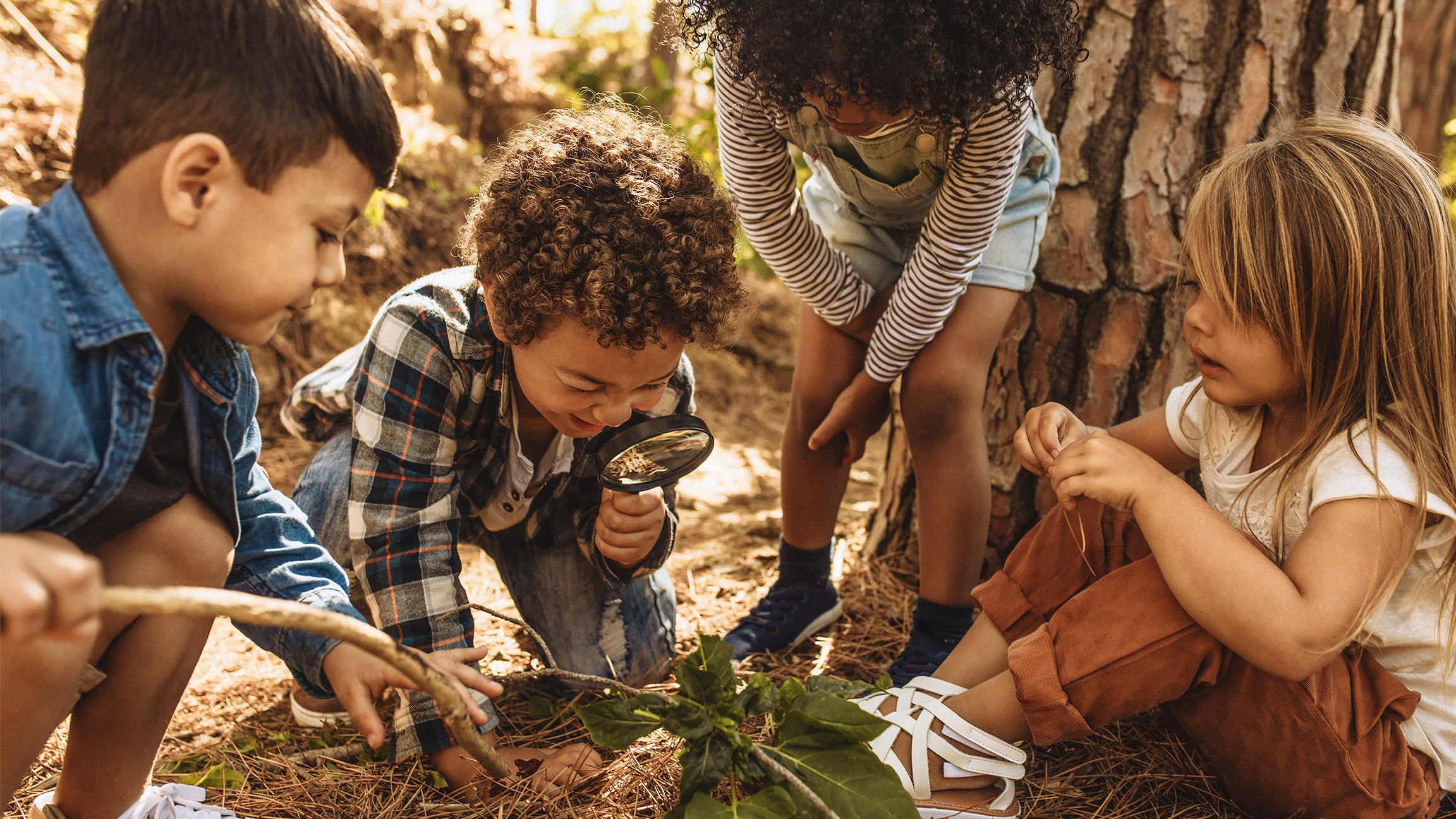 Children in forest looking at leaves as a researcher together with the magnifying glass.