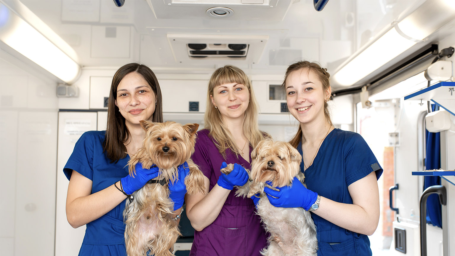 Young women professional pet doctors