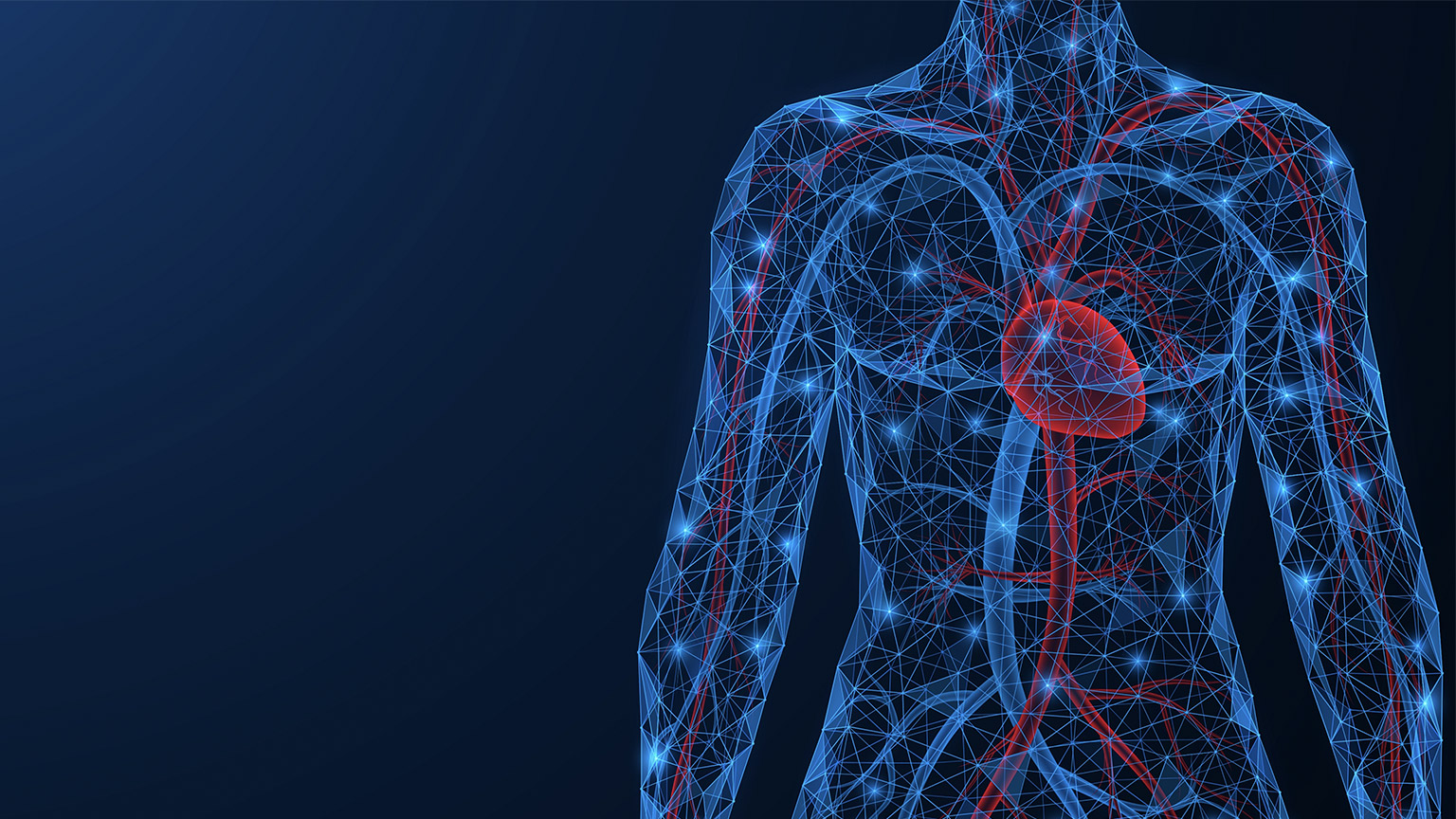 Low-poly design of interconnected lines and dots of cardiovascular system