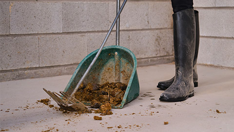 Unrecognizable farm worker legs cleaning horse feces.

Unrecognizable farm worker legs cleaning horse feces.