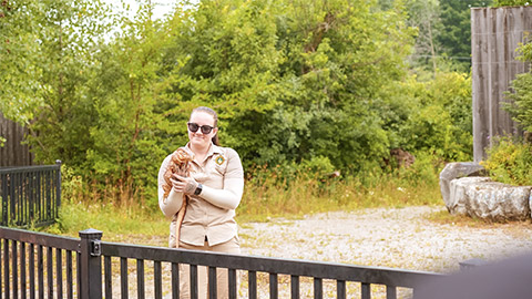 Smiling zookeeper holding a baby alligator in her arms