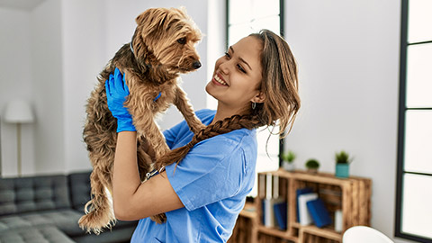 Young beautiful hispanic woman veterinarian smiling confident holding dog at home