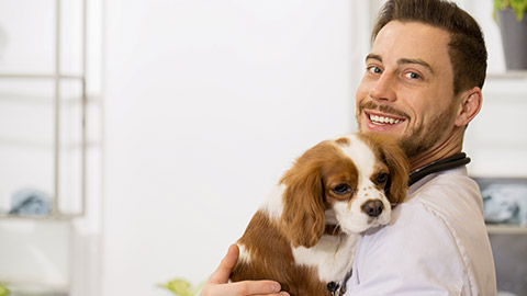 cheerful young male veterinarian smiling to the camera holding an adorable puppy