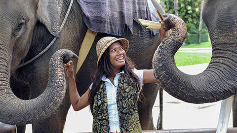 Woman feeding the elephants