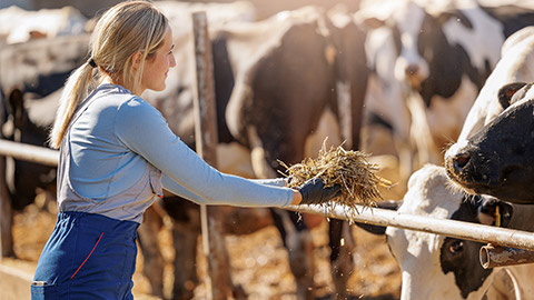 Happy young woman worker of livestock farm holding fresh hay for cows