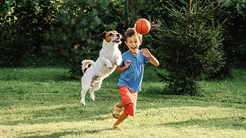 Boy playing ball with dog