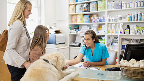 Receptionist greeting dog in vet's surgery