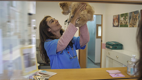 Little ill dog visit veterinary clinic. Animal health care. Nurse woman hold cute sick doggy