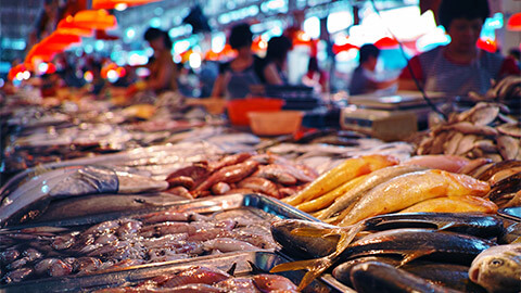 A shot of seafood on offer at an exotic fish market