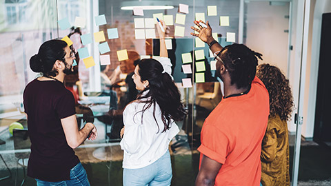 A group of colleagues collaborating on a project