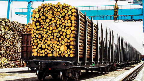 Train carriages being loaded up with logs in a timber yard