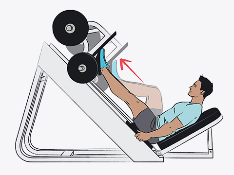 A person doing a leg press