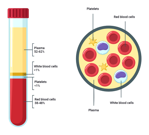 A diagram depicting...