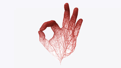 3d hand red blood veins, aorta and capillary knit tangled with hand symbol form ok