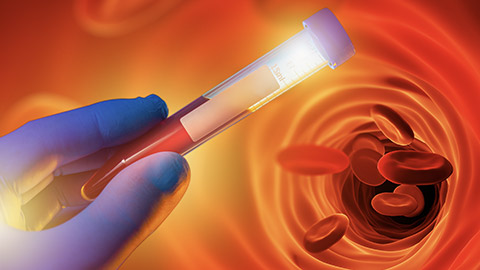 Patient blood test. Plastic test tube in doctor hand